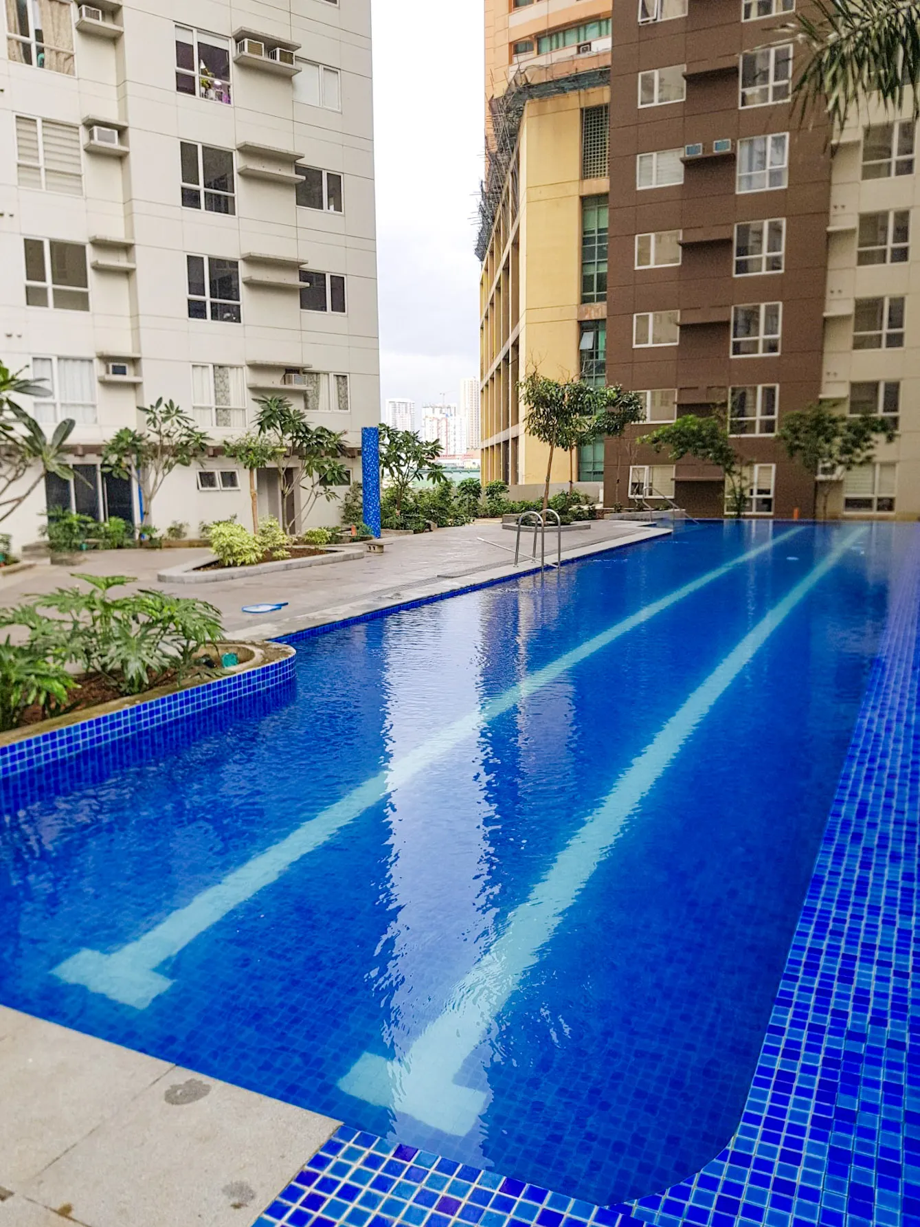 Pioneer Woodlands